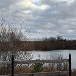 Каток «Сокол» — починили! Но радоваться пока рано…