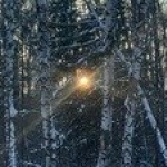 � �������� ������������ � ������� ������ ��������� � ���