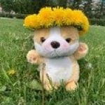 ��������� ��������� �������