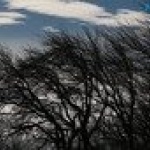 ������ ��������� ������ ��������� �������